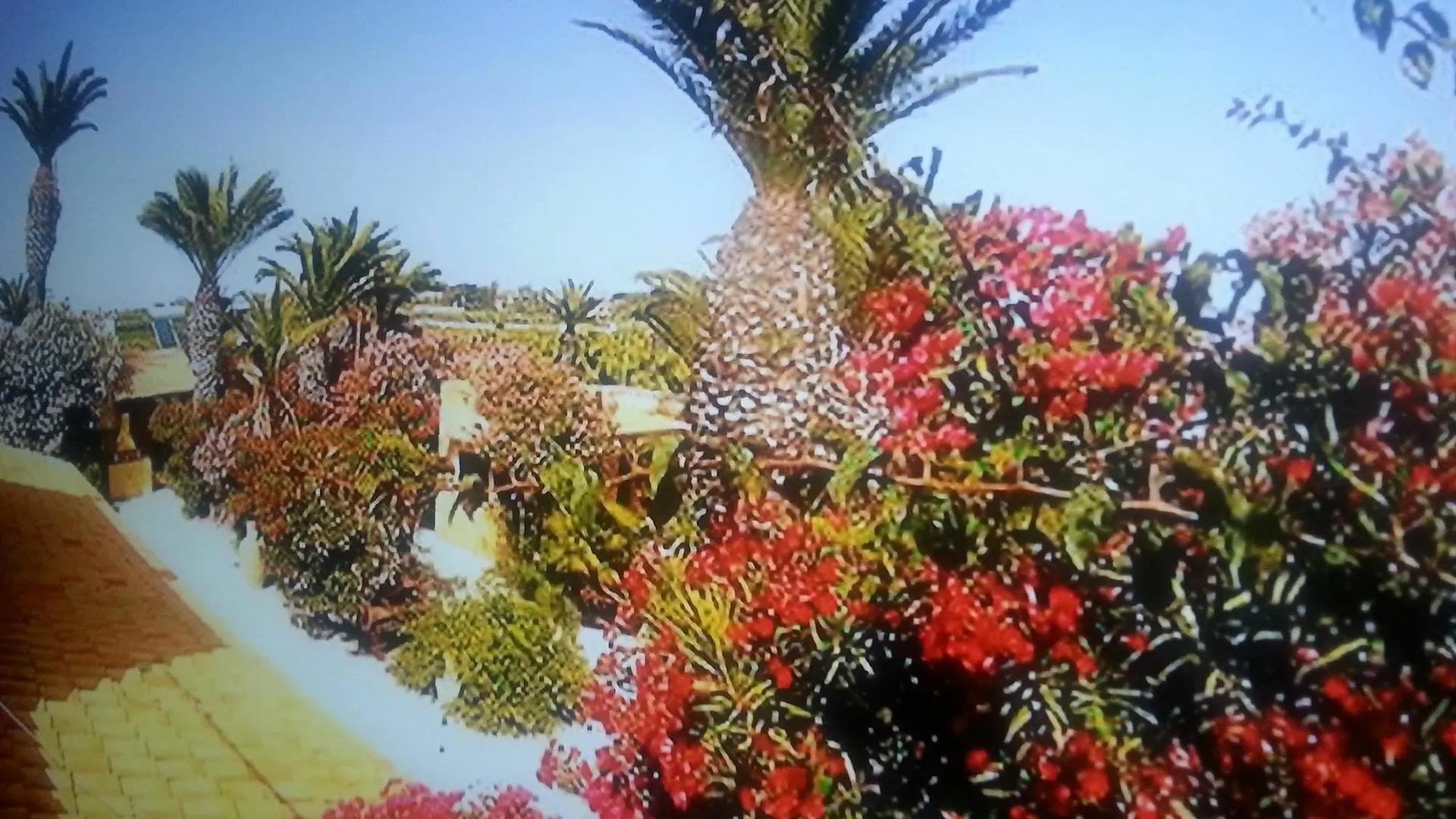 Studio In Marsala, With Pool Access, Enclosed Garden And Wifi - 250 M Italy