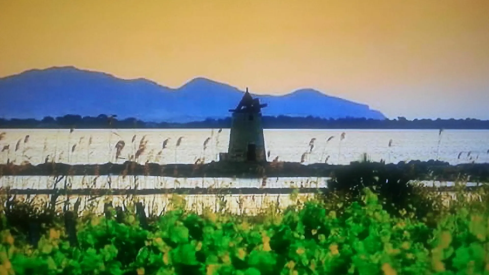 Apartment Studio In Marsala, With Pool Access, Enclosed Garden And Wifi - 250 M Italy