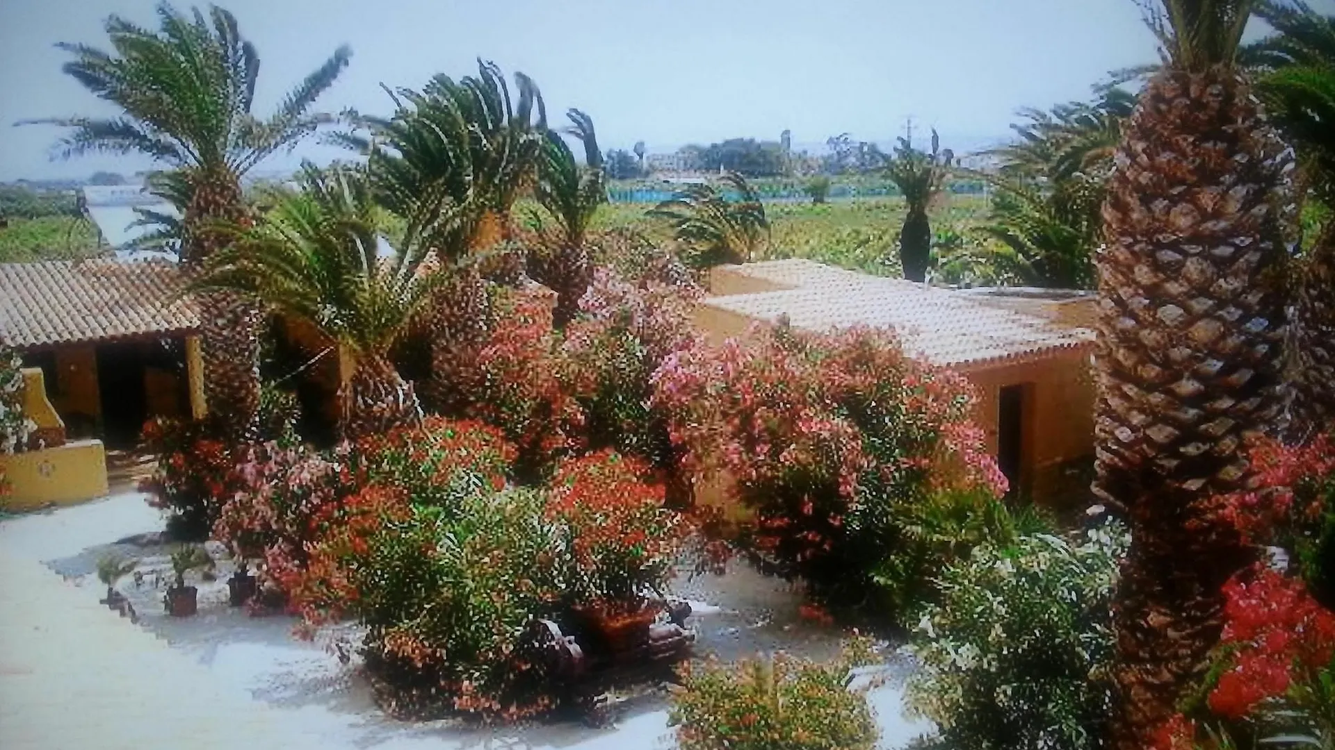 Apartment Studio In Marsala, With Pool Access, Enclosed Garden And Wifi - 250 M